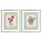 Stupell Industries Cottage Botanical Story 2pc Framed Print Under Glass Set, design by Lee Ann Sanders